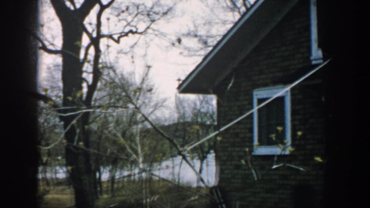 Brick house partly hidden by bare trees beside a yard and distant water.
