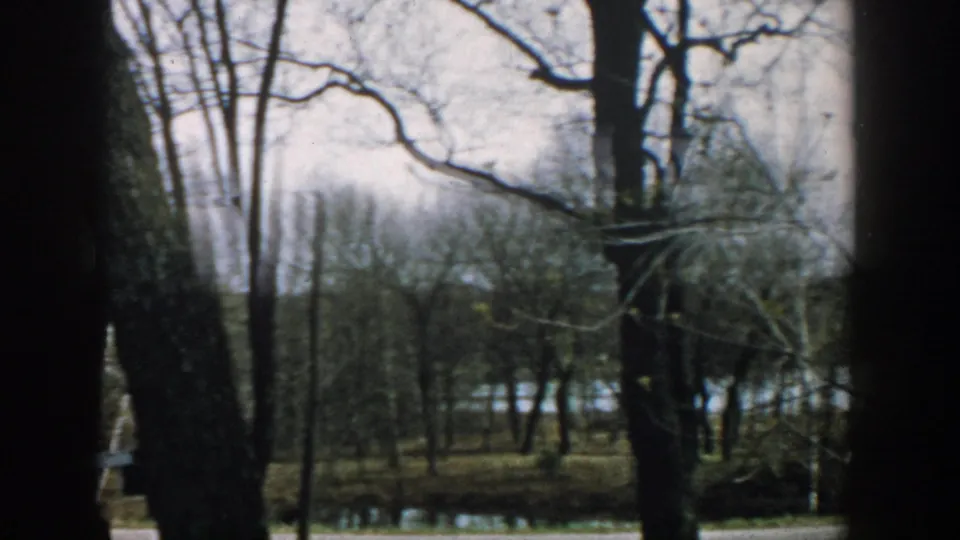 1957 Wisconsin exterior view with bare tree trunks, a house partly hidden behind them, and water beyond the yard.