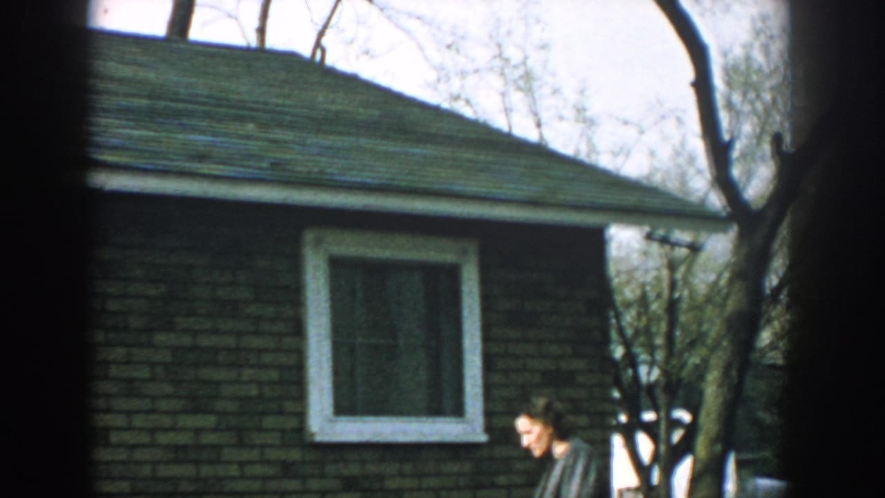 Woman partly visible beside a brick house with a white-trimmed window and green shingled roof.