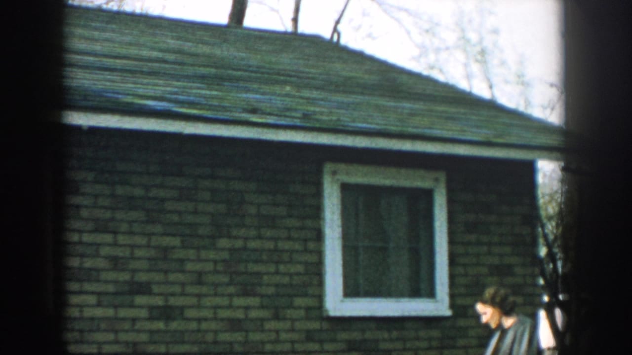 Brick house exterior with a white-trimmed window, green roof, bare trees, and woman at the right edge.