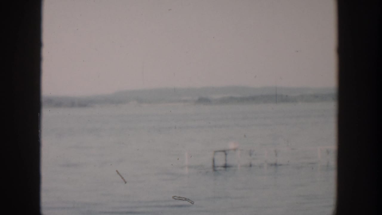 Calm water with distant low shoreline and dark vertical frame edges.