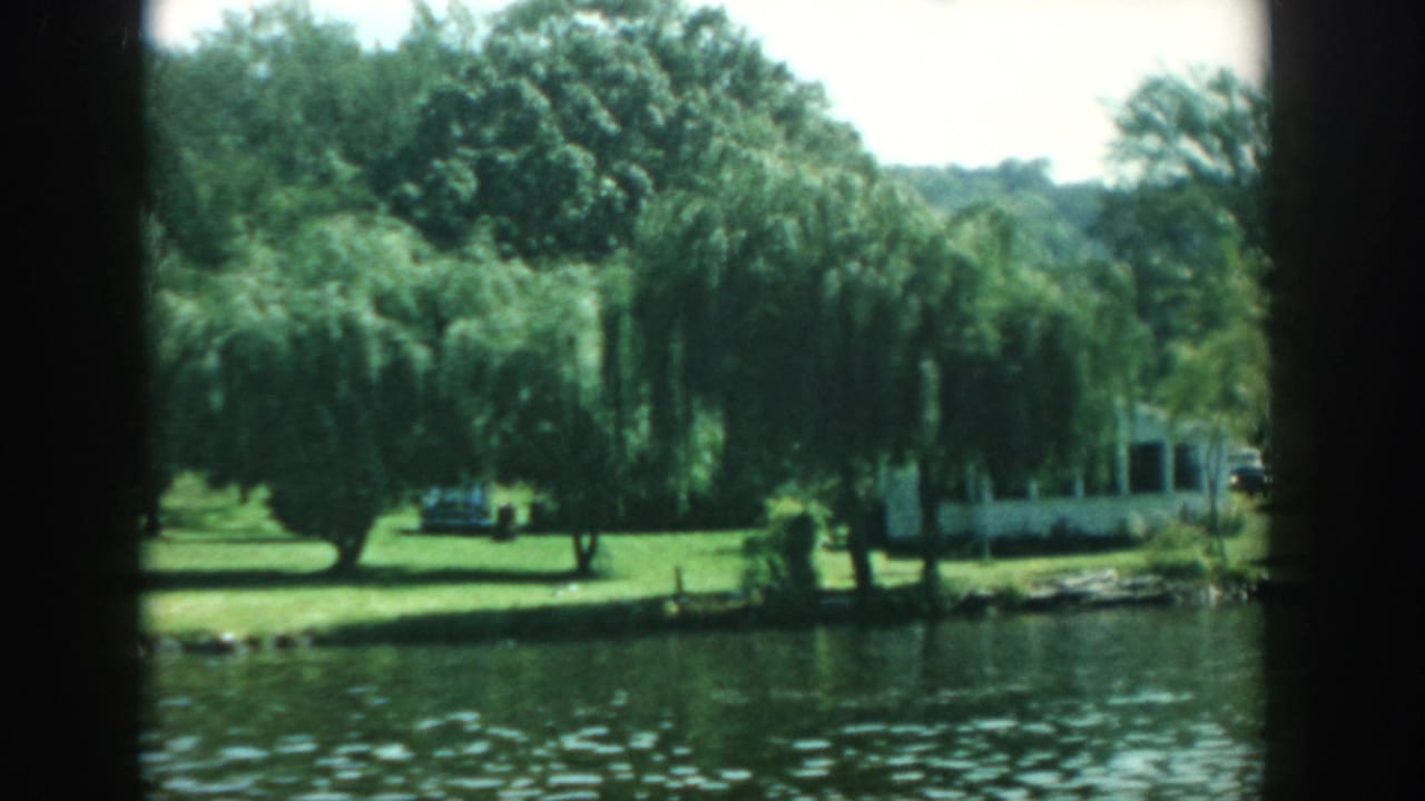 Willows shade a green lawn beside the water, with a parked car near a white house.