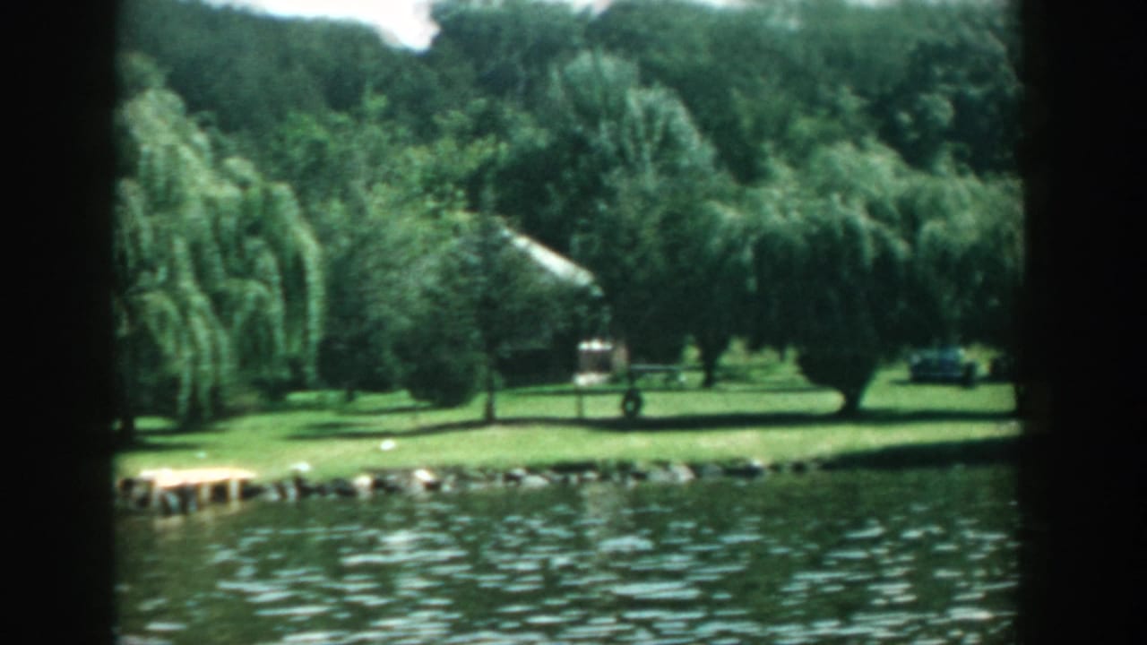 Rippling lake water with a grassy shoreline, weeping trees, and a small dock.