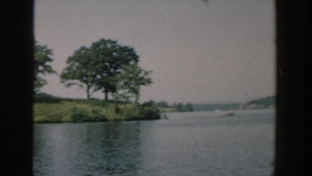 Tree-covered island centered across the water with a wooded distant shore behind it.