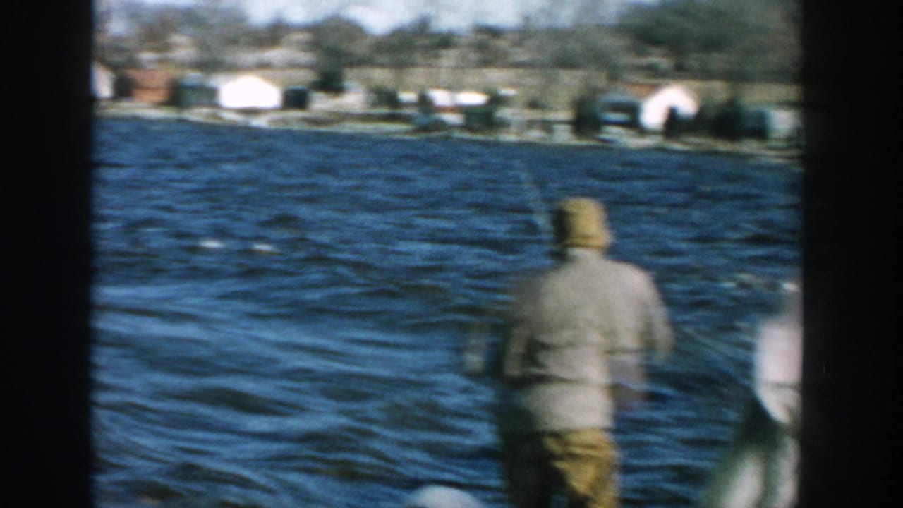 Adult figure faces choppy lake water near a dock railing and distant shoreline houses.