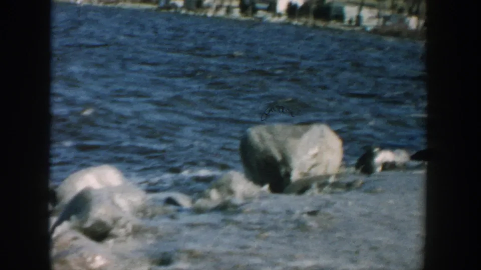1957 Wisconsin 8mm frame focusing on rippled lake water and shoreline boulders, with only a partial glimpse of the person at the edge.