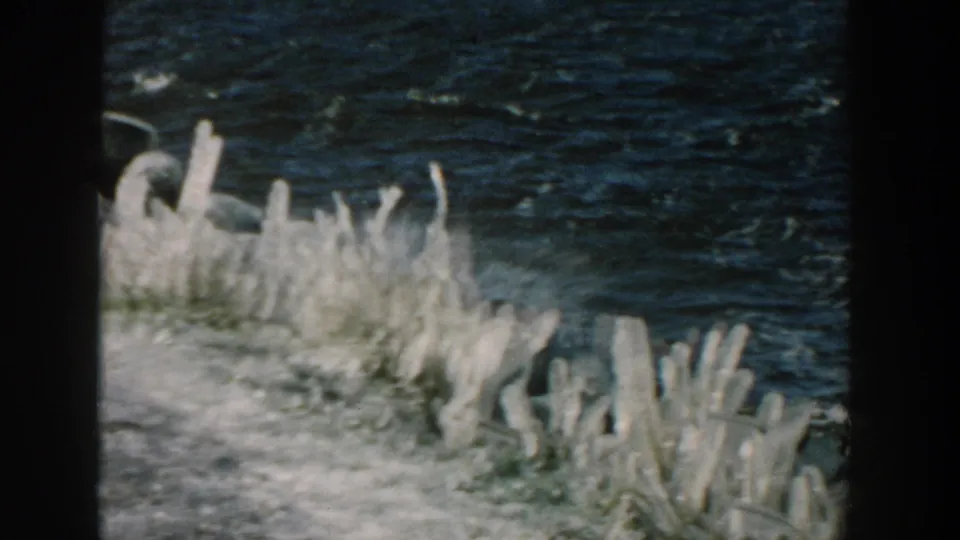 1957 Wisconsin 8mm frame showing choppy water striking an icy shore with frozen vegetation and snow in view.