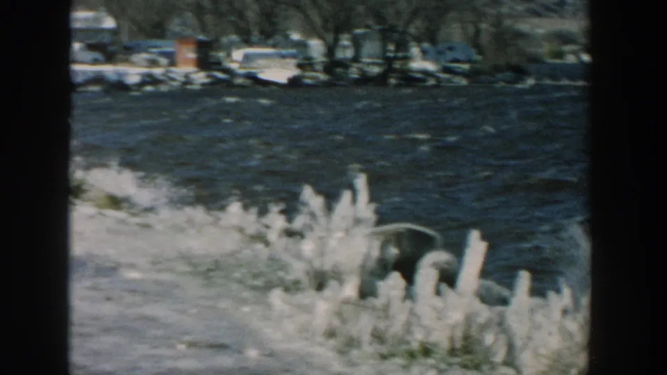1957 Wisconsin home-movie frame with frozen shoreline vegetation, rough dark water, and a snow-lined opposite bank.
