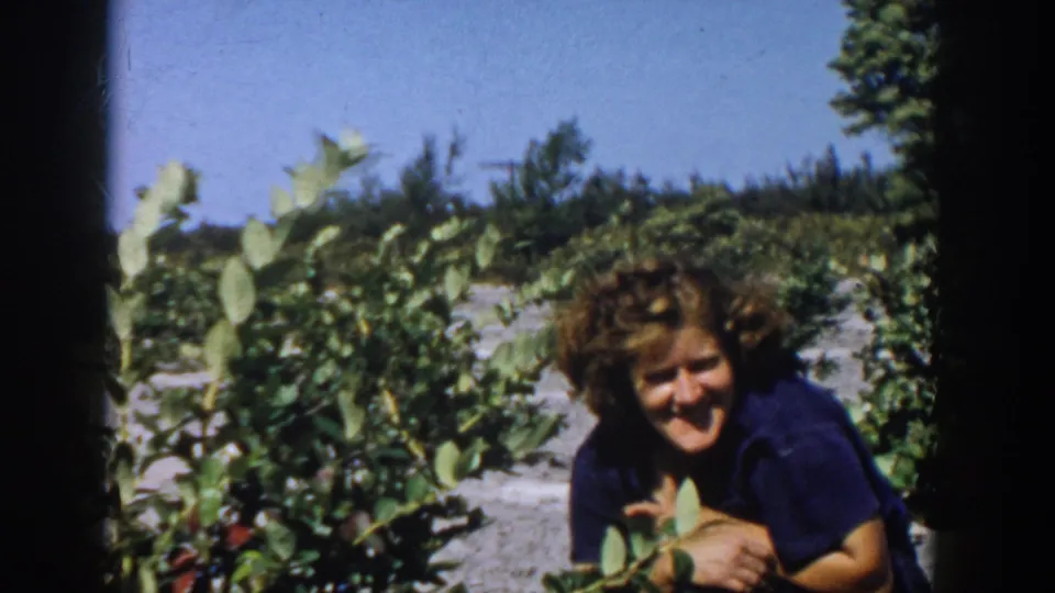 A smiling woman in a blue shirt is framed beside blueberry bushes, with garden rows and sky behind her in 1958 Michigan home-movie footage.