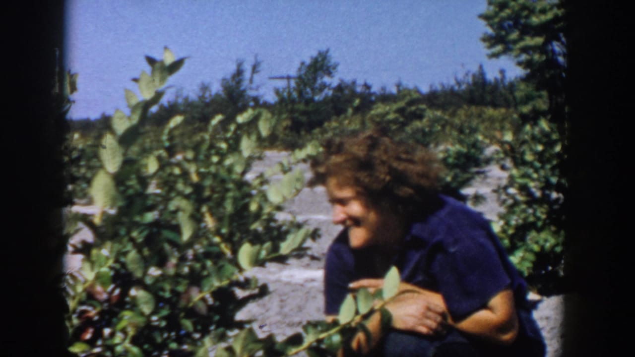 Woman crouching beside green berry bushes under a bright sky.
