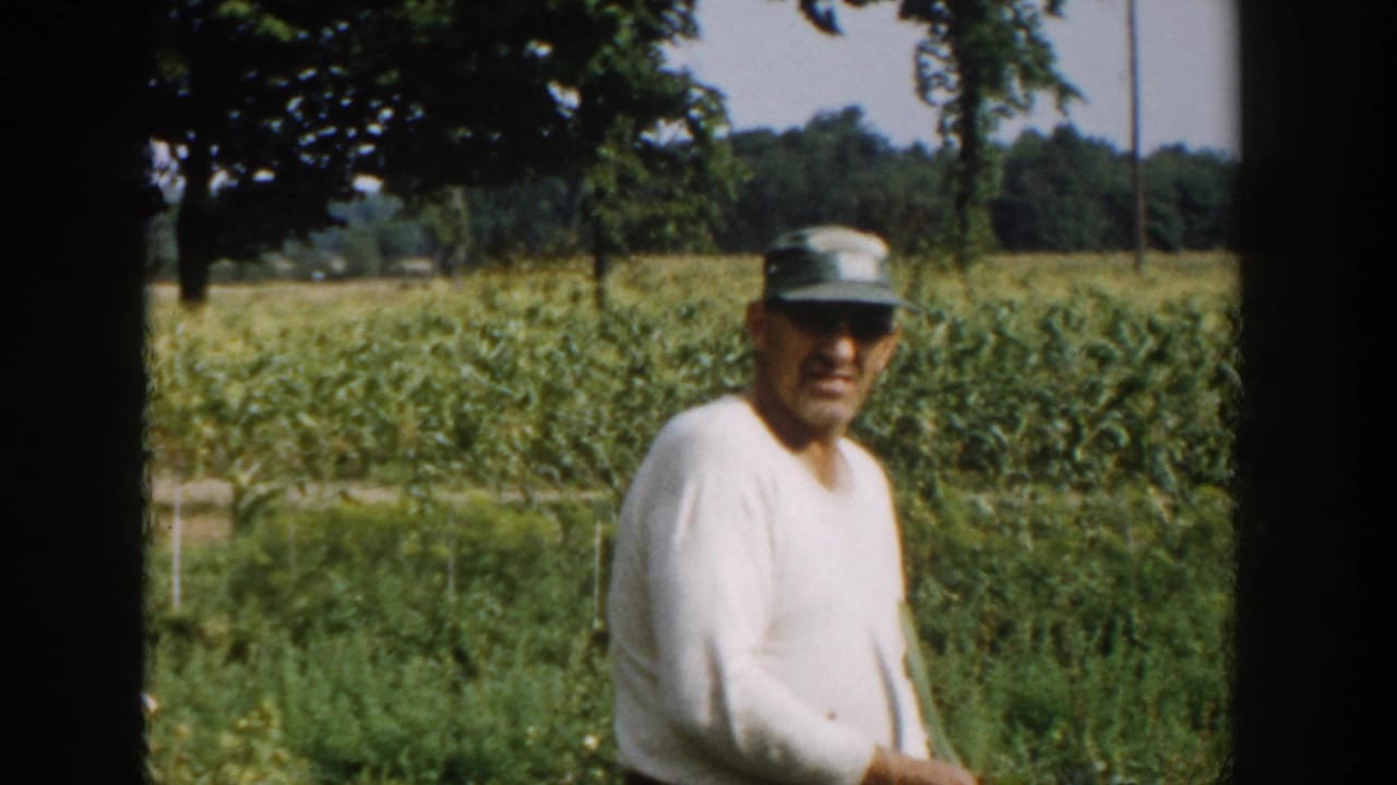 Adult man in a white shirt and green cap stands beside a vegetable garden with corn rows behind him.