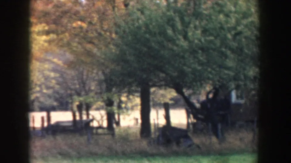 1958 Michigan home-movie frame of a backyard with mature trees, grass, simple fencing, and part of the neighboring house.