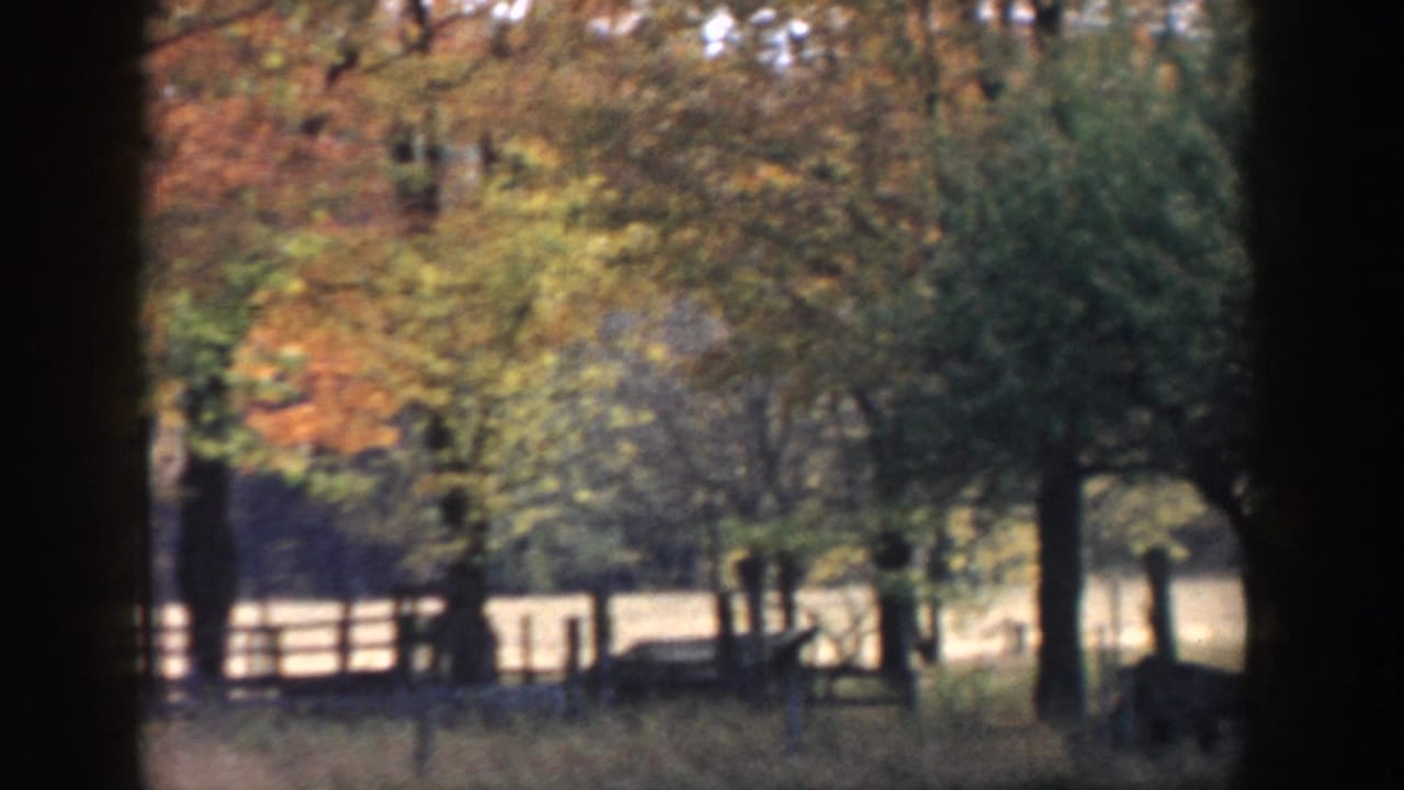 1958 Michigan 8mm frame showing autumn trees, tall grass, a wooden fence, and dark trunks framing the rural view.