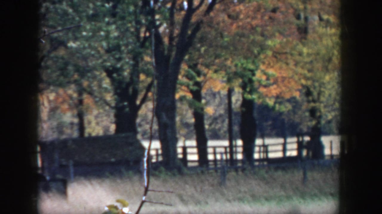 Trees, fence rails, and tall grass with a small structure partly visible.