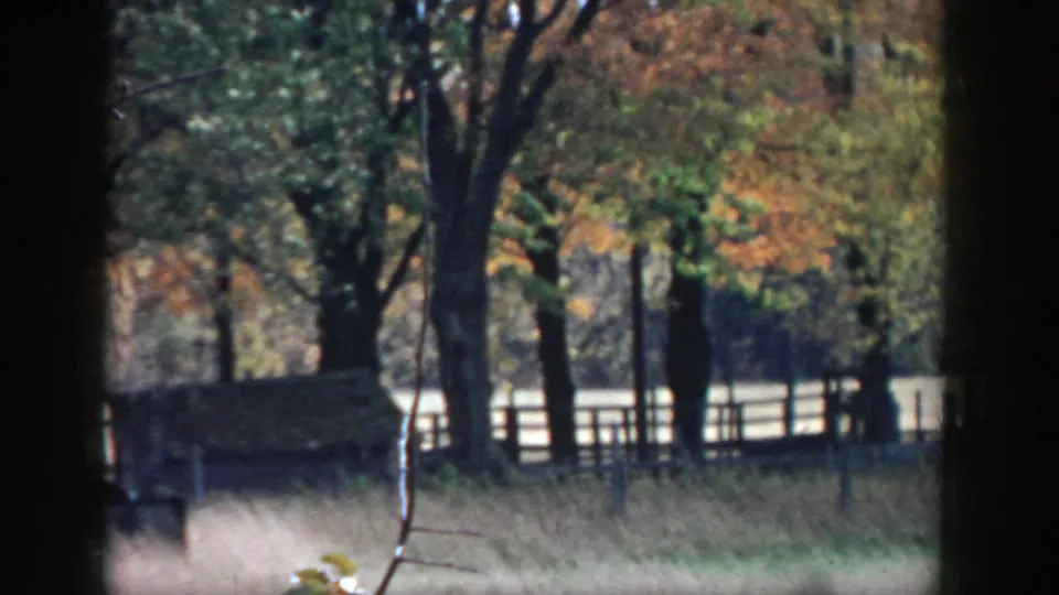 1958 Michigan rural landscape with trees, fence rails, tall grass, and a small outbuilding partly obscured by trunks.