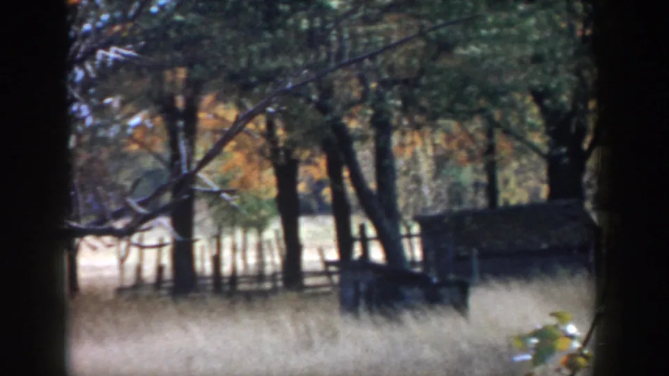 1958 Michigan 8mm view of a wooded rural area with tall grass, fence posts, and a small dark shed in soft focus.