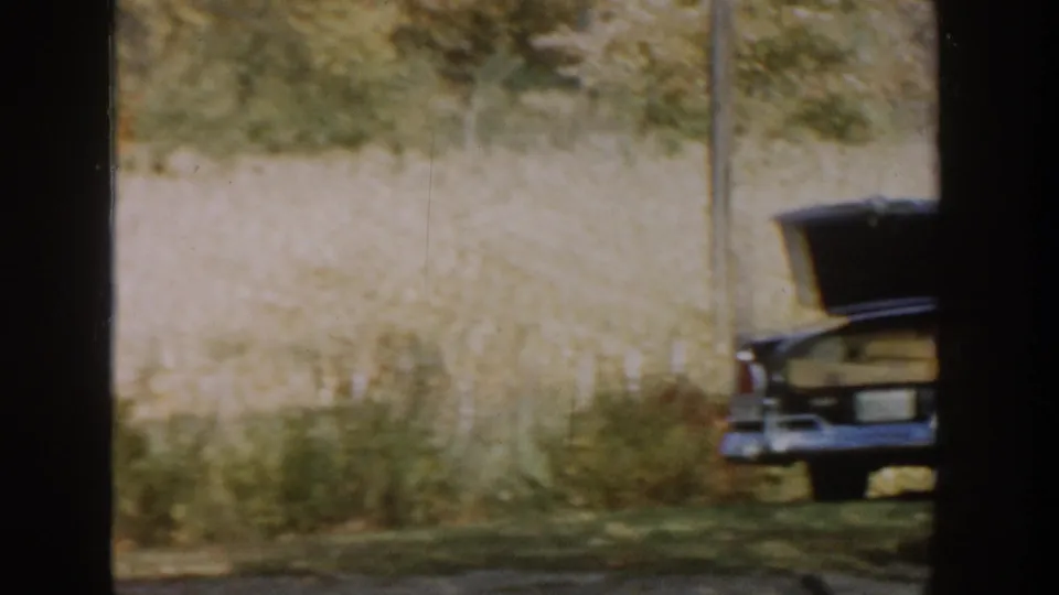 1958 Michigan home-movie view of tall grass, a partial parked car, and a tree trunk in a quiet rural residential setting.