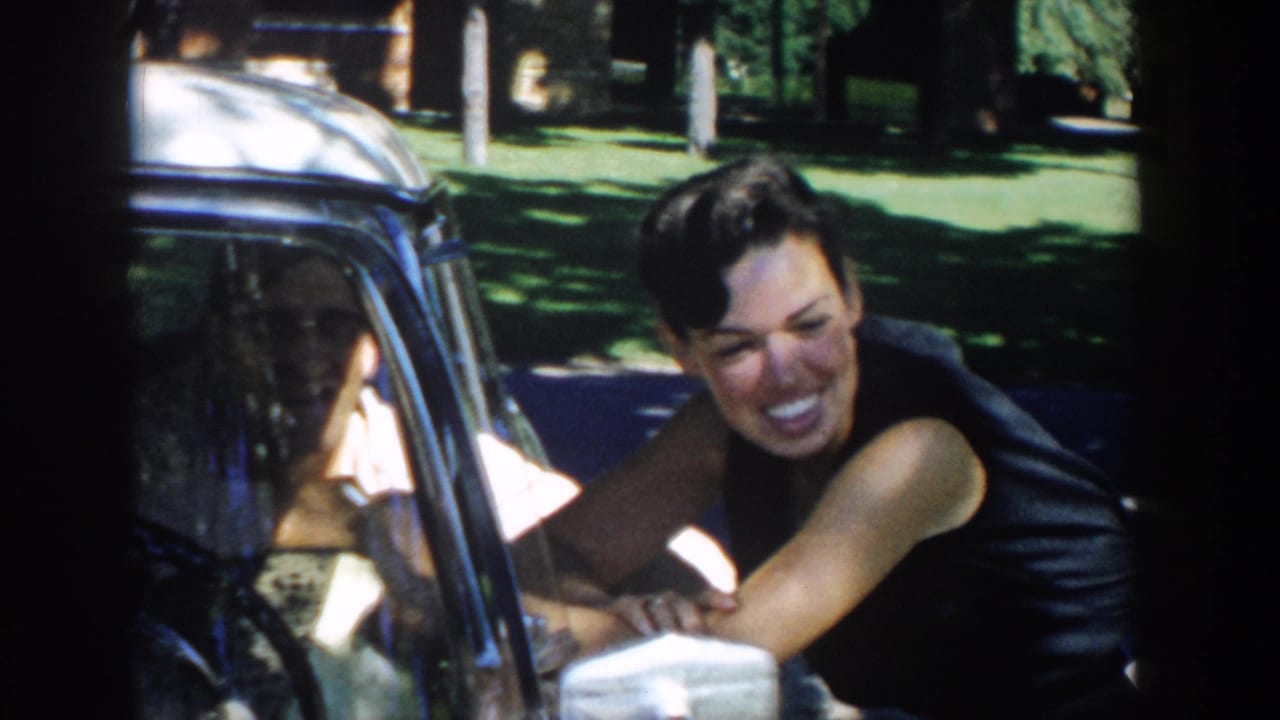 Smiling woman rests her arms near the car window while talking to a man inside.