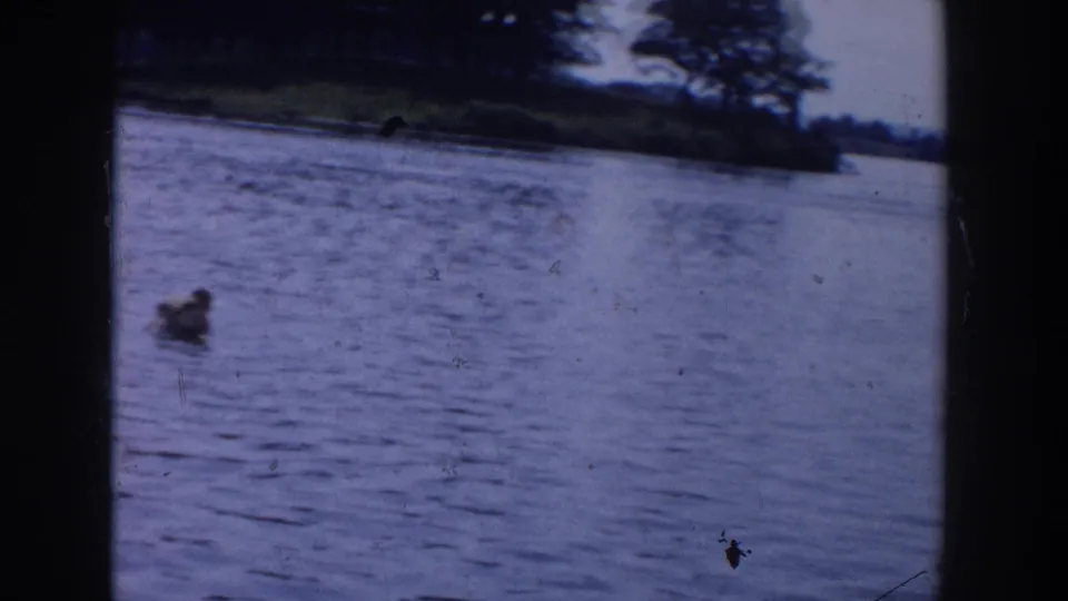 1958 Wisconsin lake footage frame with a person swimming or floating in blue water near a tree-lined bank.