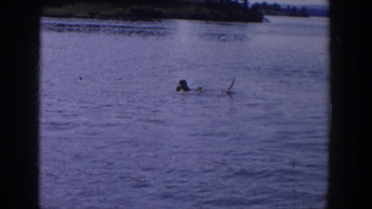 1958 Wisconsin lake frame showing a swimmer in open water, with a small branch-like object nearby.