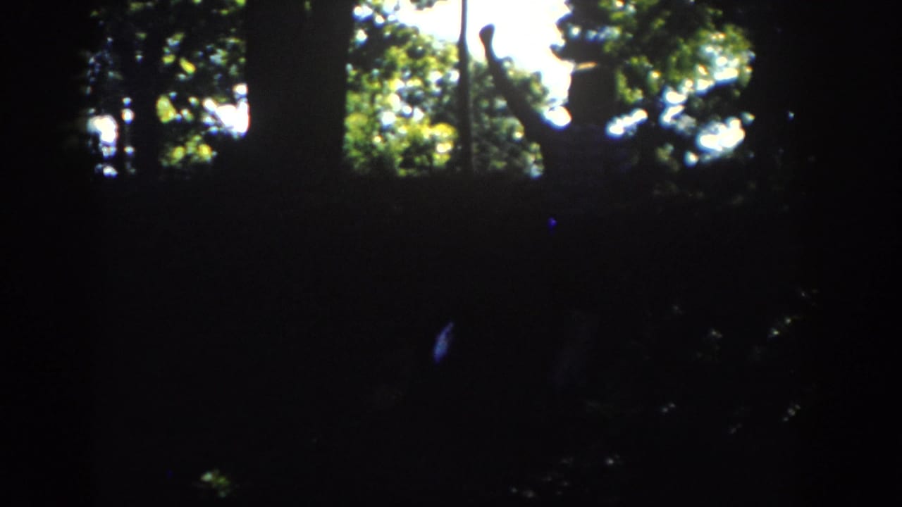 A shadowed Wisconsin woodland frame shows bright canopy light and a striped figure partly hidden among trees.