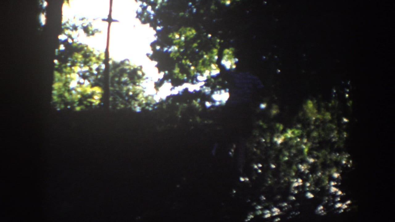 In a high-contrast 1958 Wisconsin woodland shot, a figure moves through trees under bright canopy light.