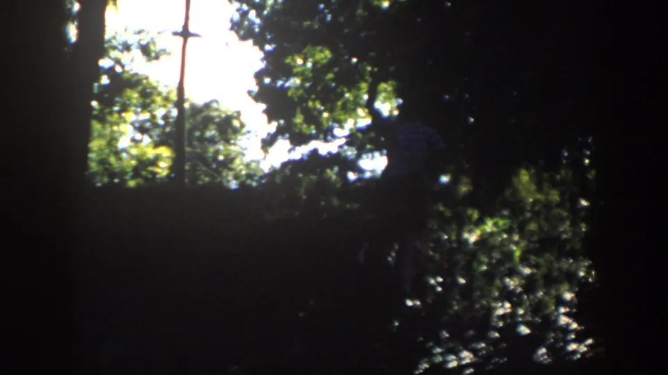 In a high-contrast 1958 Wisconsin woodland shot, a figure moves through trees under bright canopy light.