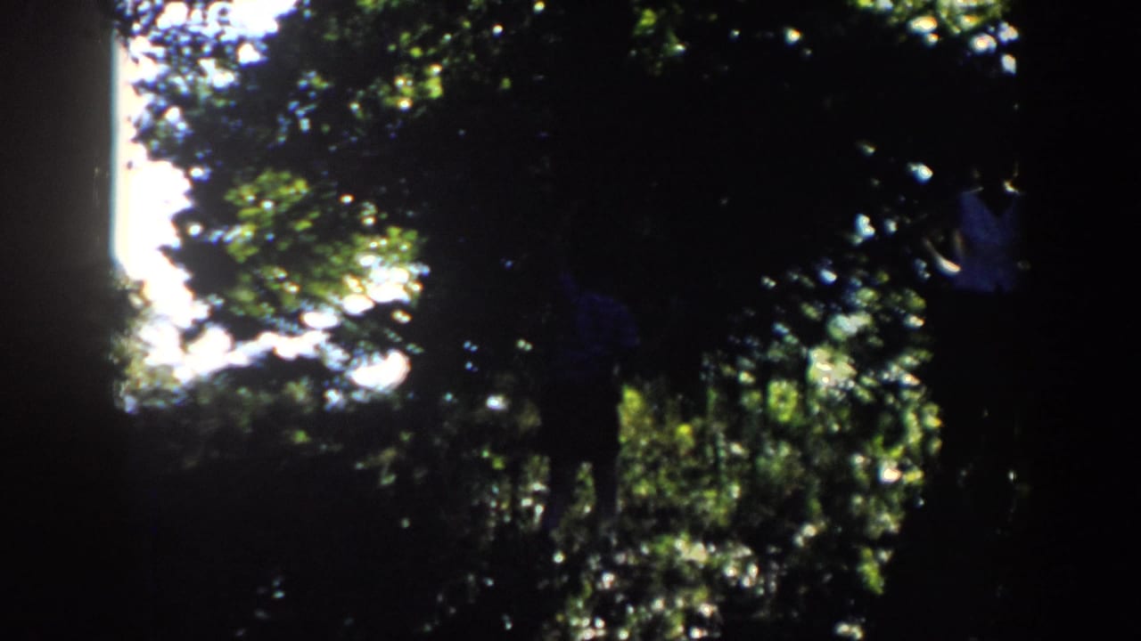 A final shadowed 8mm frame shows dense Wisconsin foliage with a partly visible person near the right edge.