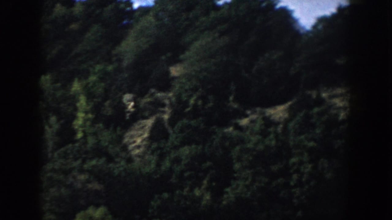 1958 Wisconsin 8mm frame of a steep, densely wooded lakeside bank seen through dark gate shadows.