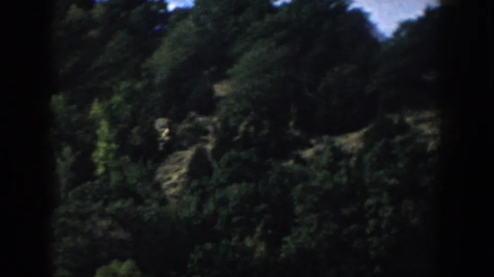 1958 Wisconsin 8mm frame of a steep, densely wooded lakeside bank seen through dark gate shadows.