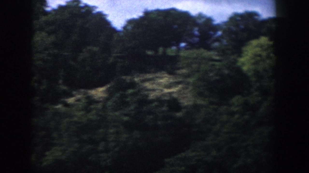 1958 Wisconsin home-movie frame showing a soft, grainy view of dense green trees on a wooded hillside.