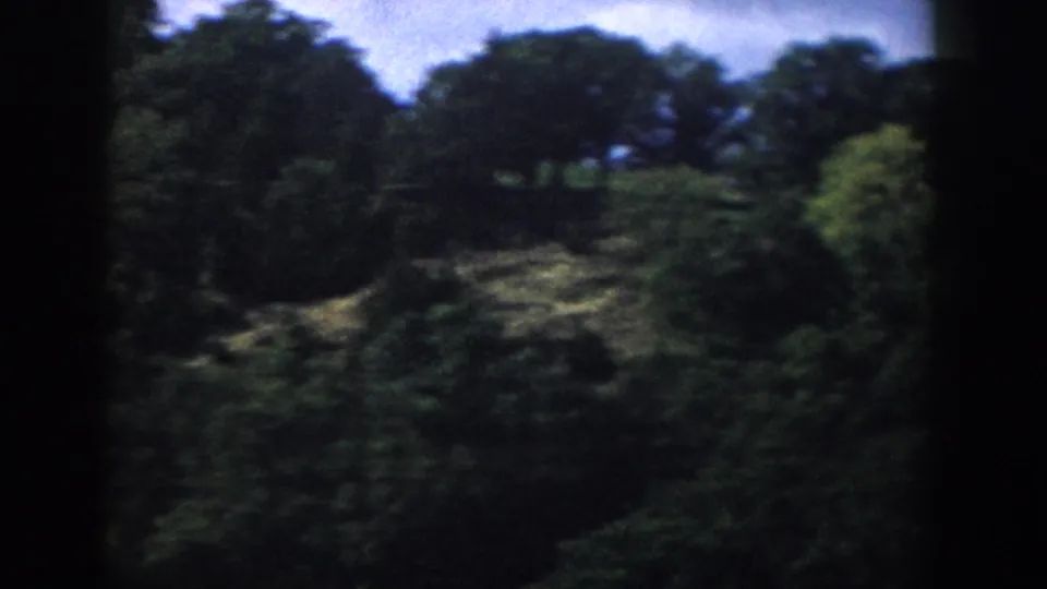 1958 Wisconsin home-movie frame showing a soft, grainy view of dense green trees on a wooded hillside.