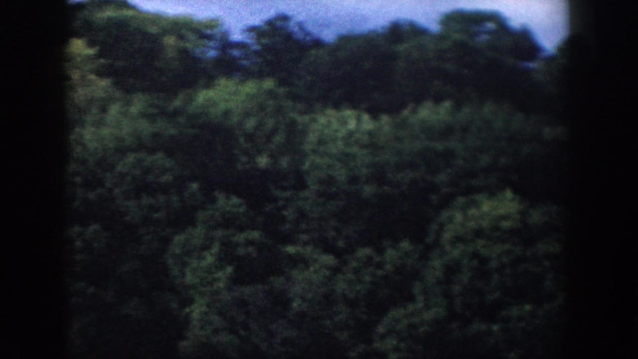 Tree-covered hillside with dark vertical film border at center.