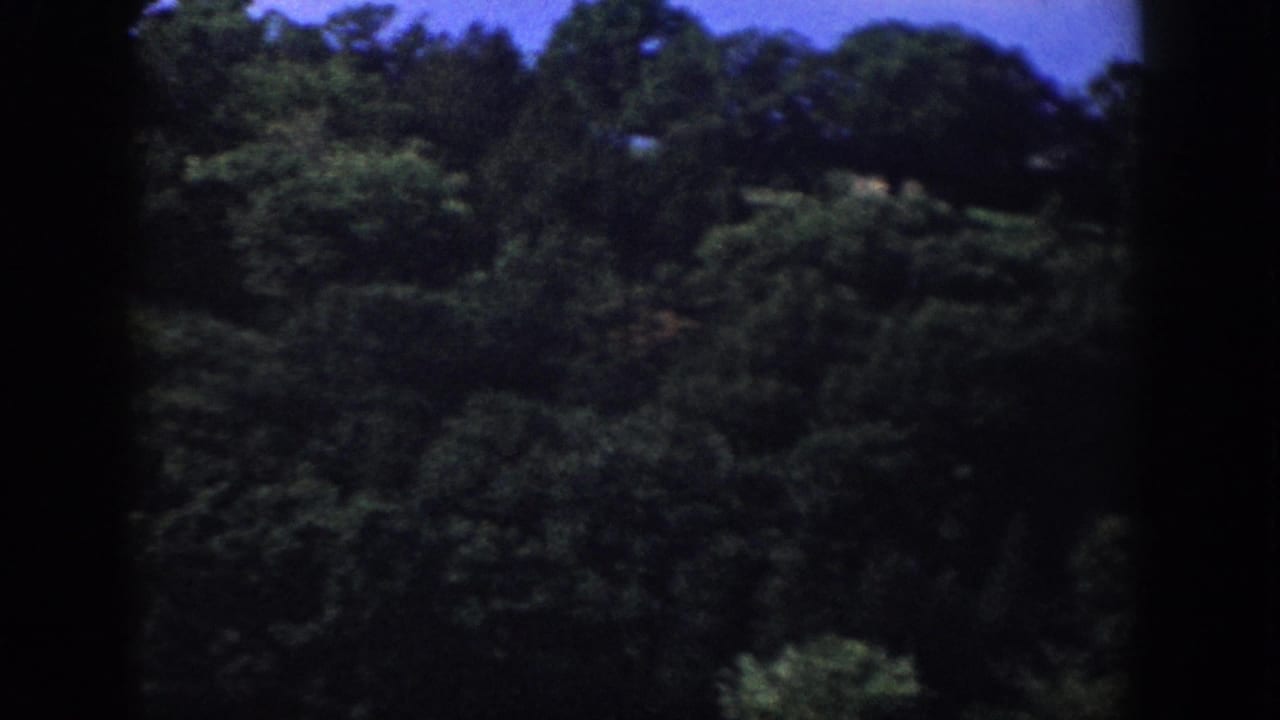 1958 Wisconsin nature footage frame showing a darker section of forest canopy and hillside during the slow pan.