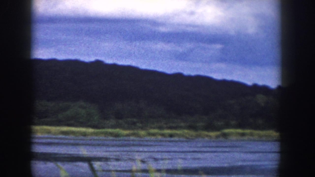 1958 Wisconsin home-movie frame with foreground reeds, blue water, green shoreline, wooded hill, and clouded sky in soft focus.