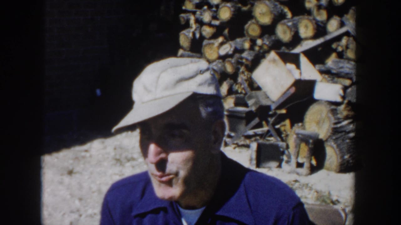 Man in a light cap and blue shirt sits or stands by stacked chopped logs in sunlight.