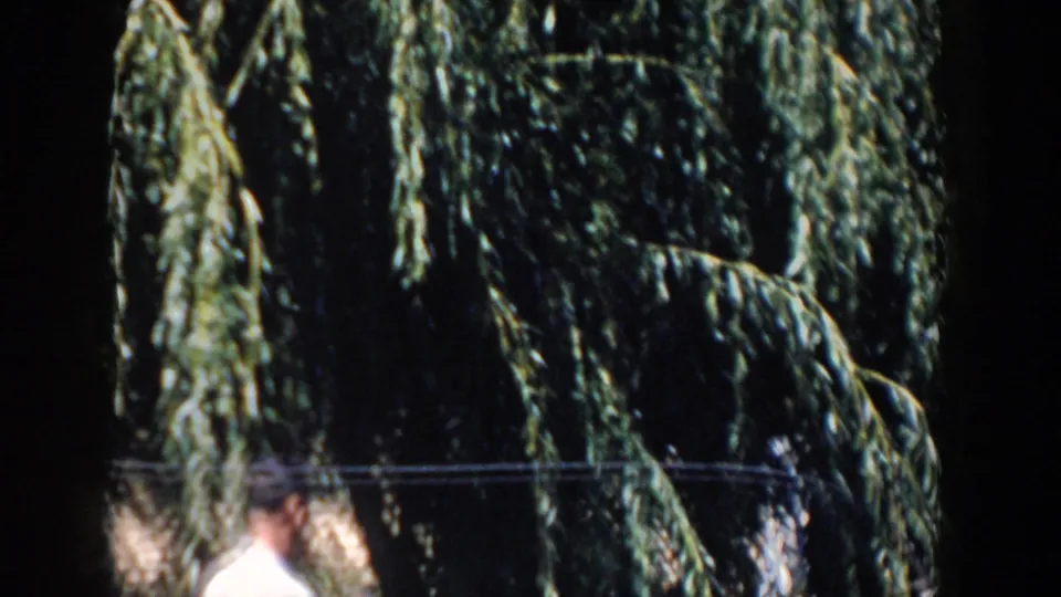 Close rural view of drooping leafy branches with partially visible people at the bottom of the 1958 Wisconsin home-movie frame.