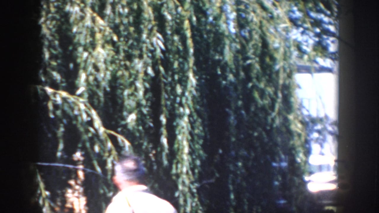 1958 Wisconsin frame with an adult man in a light shirt moving past drooping willow branches beside a wire fence.