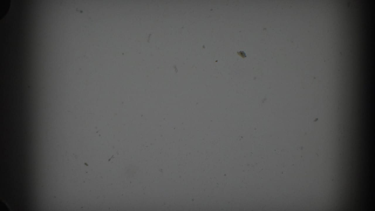 Soft, dark 8mm frame with visible dust, vignetting, and no identifiable people or place.