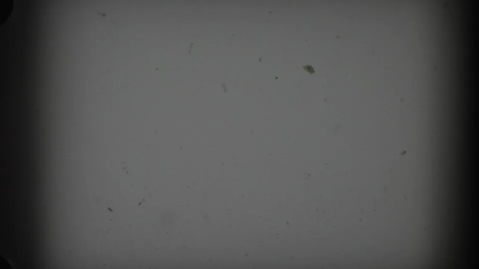 Soft, dark 8mm frame with visible dust, vignetting, and no identifiable people or place.