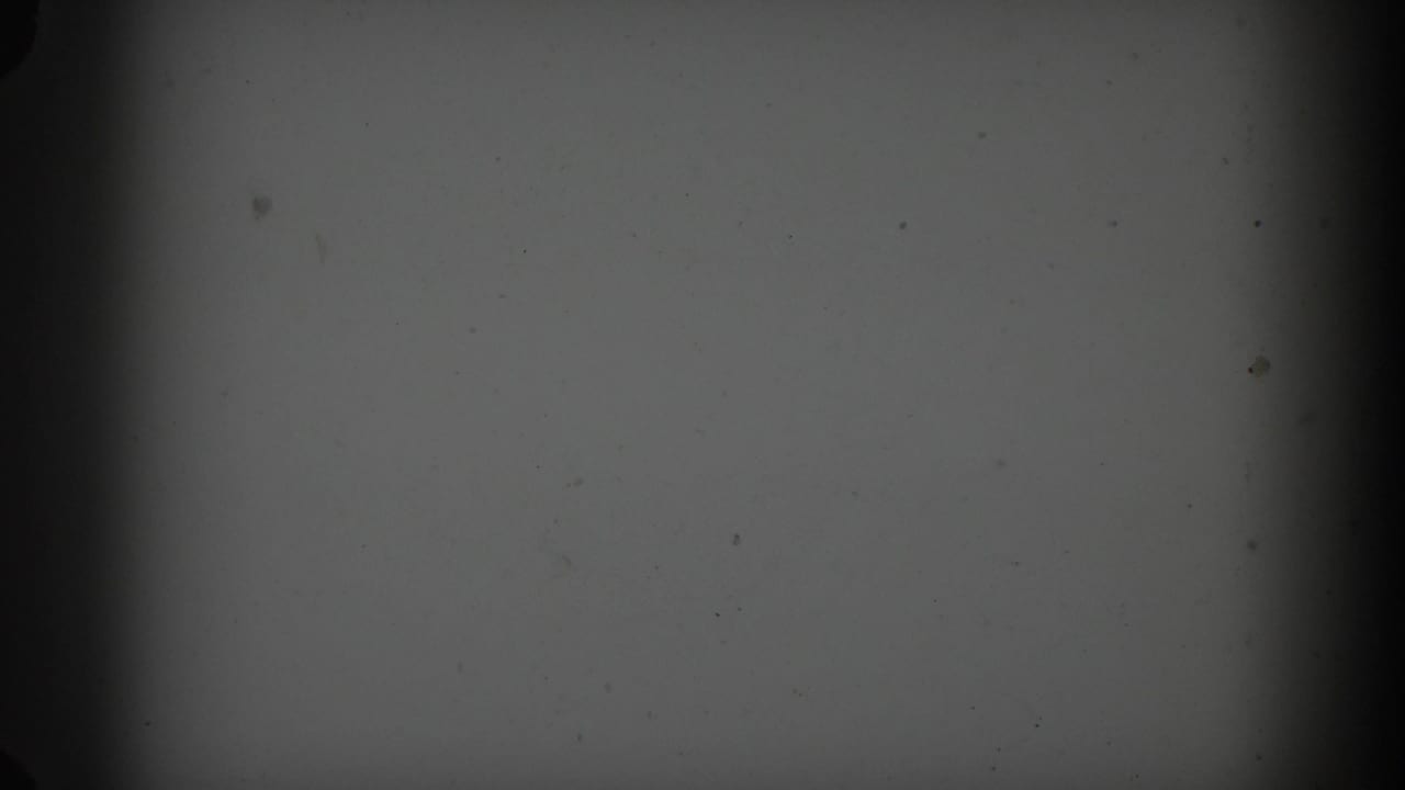Soft, dark 8mm frame with visible dust and edge shading before the outdoor yard scene appears.