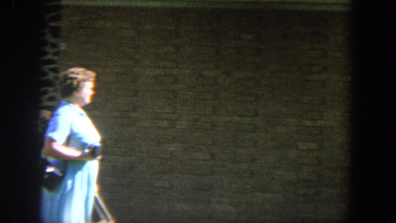 1964 Wisconsin home-movie frame showing an older woman in a blue dress moving past a brick exterior in strong sunlight.