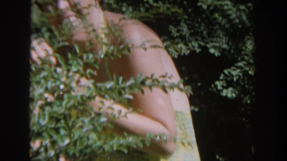 Close 1964 Wisconsin home-movie frame with a woman in a yellow bathing suit partly concealed by garden foliage.