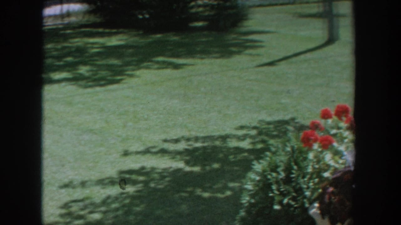 Green lawn and dappled tree shadows with a flower arrangement cropped at the right edge.