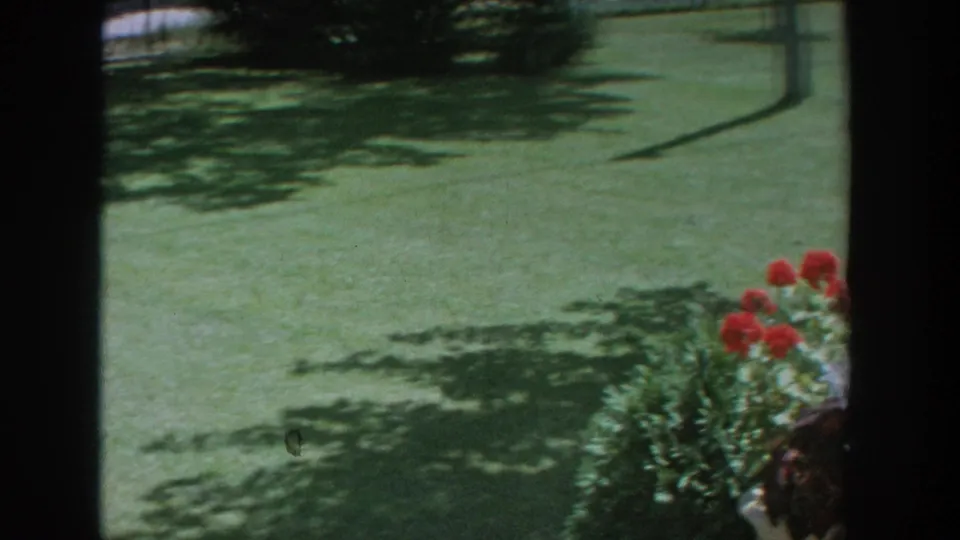 1964 Wisconsin backyard view with shaded lawn and red-and-white flowers partly visible beside the window frame.