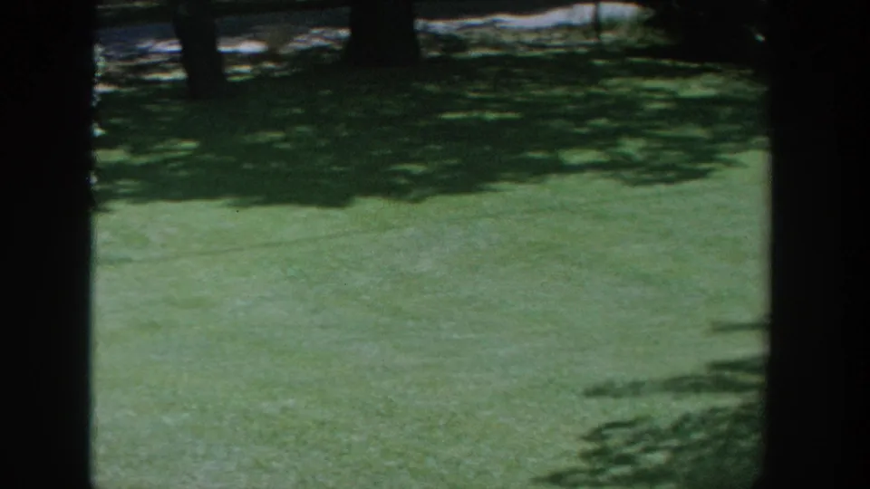 1964 Wisconsin home-movie frame showing a quiet suburban lawn through interior window framing.