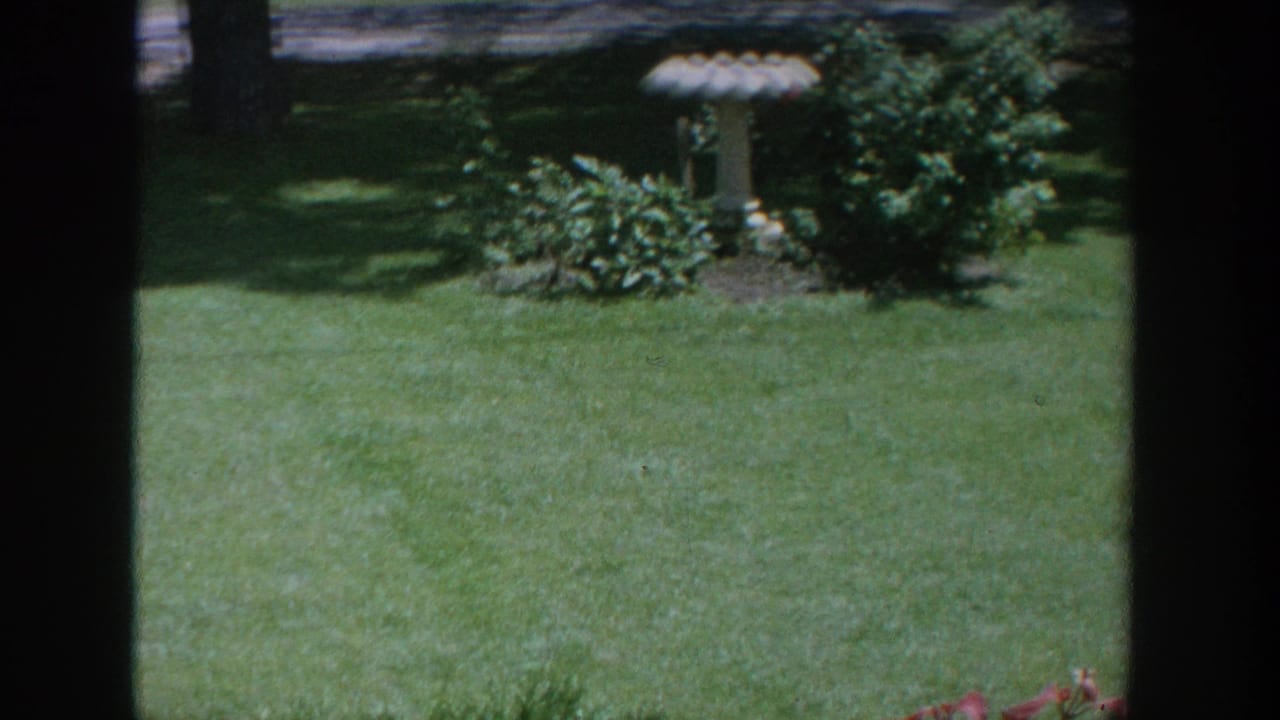 1964 Wisconsin home-movie frame showing a bright lawn, leafy shrubs, and a white pedestal birdbath in a suburban garden.