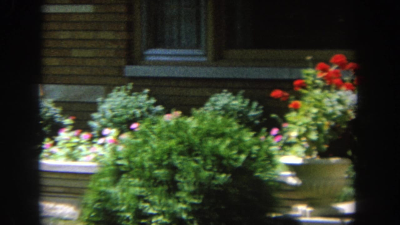 Flowering planters and shrubs outside a brick house, with the woman mostly hidden.