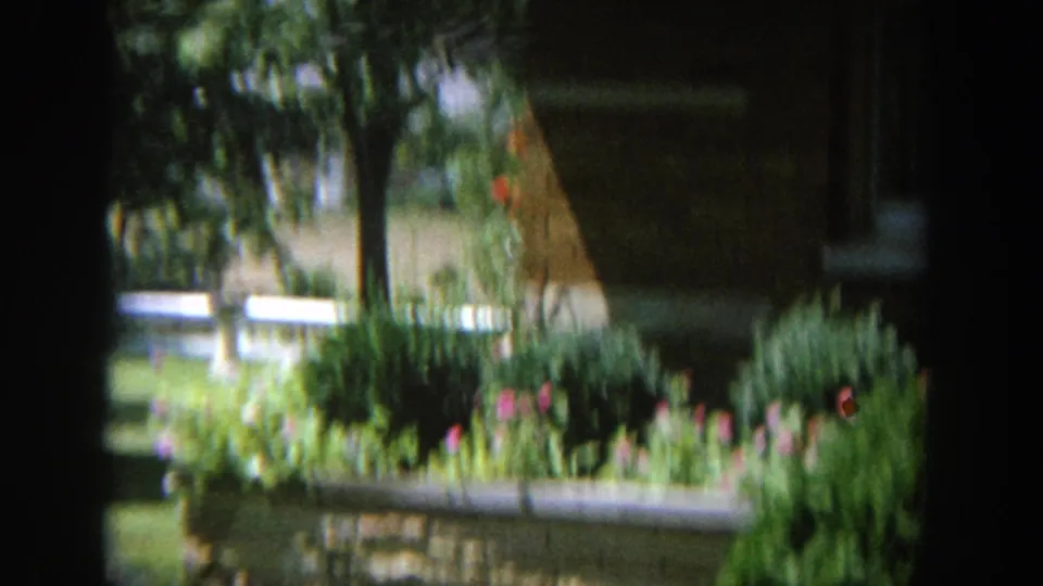 Blurred 8mm view of a home garden with tulips, dense greenery, tree branches, and part of a house in the background.