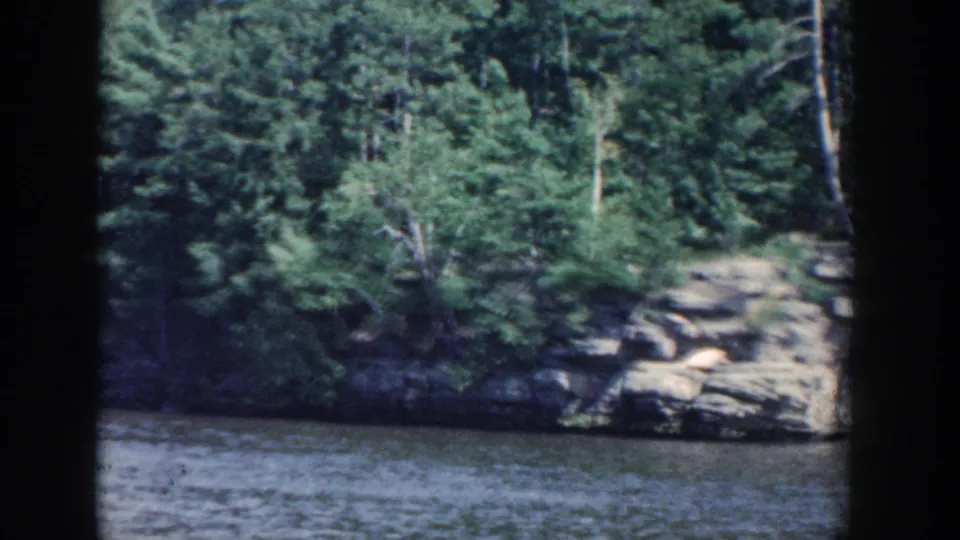 1964 Wisconsin 8mm frame showing dense shoreline foliage, exposed rock, and calm water below.